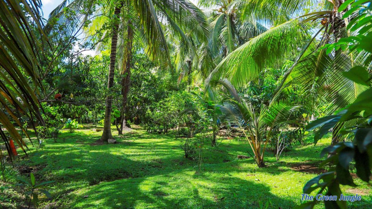 The Green Jungle ダンブッラ エクステリア 写真